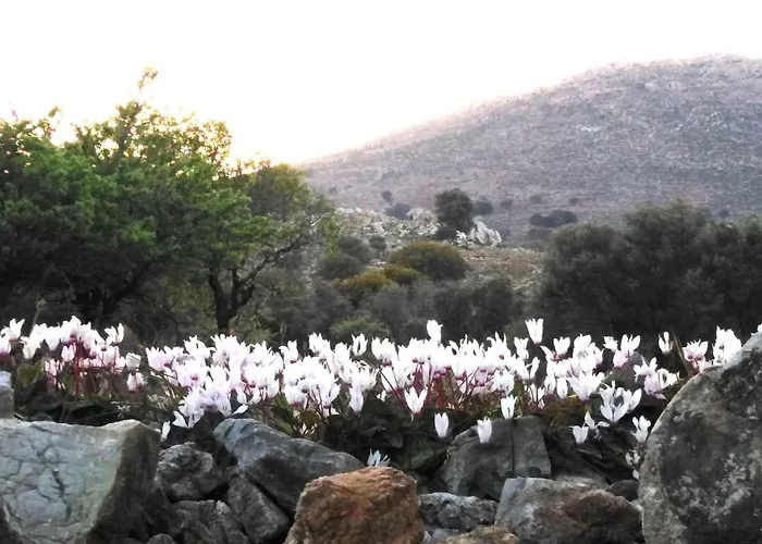 Tilos Island House