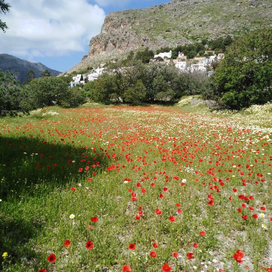 Tilos Island House Holiday home *