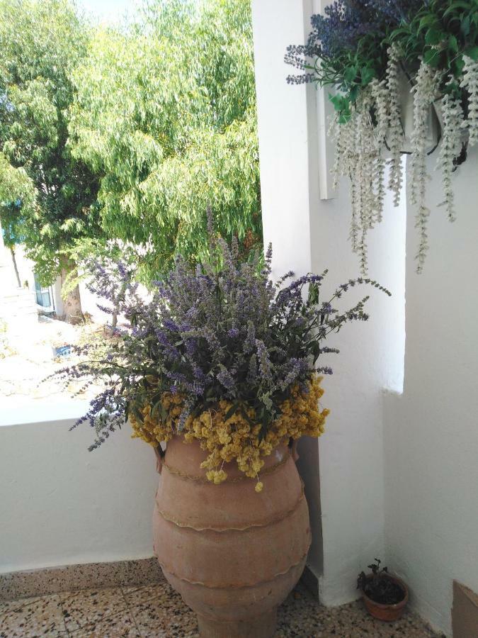 Prázdninový dům Tilos Island House *